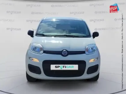 Photo 16 Fiat Panda Gén. III Ph1 NG Pop 5