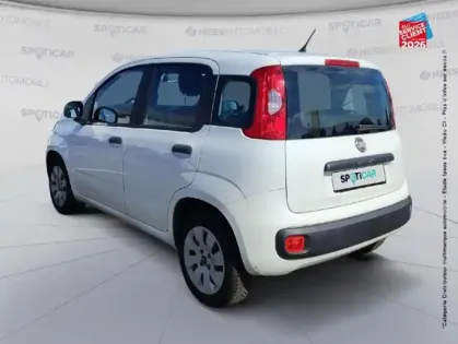 Photo 7 Fiat Panda Gén. III Ph1 NG Pop 5