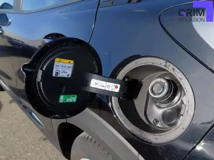 Photo 19 Ford Puma  1.0 Flexifuel 125 ch mHEV S&S BVM6