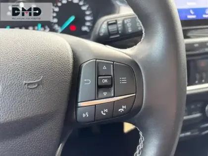 Photo 14 Ford Puma  1.0 Flexifuel 125ch S&S mHEV Titanium Business