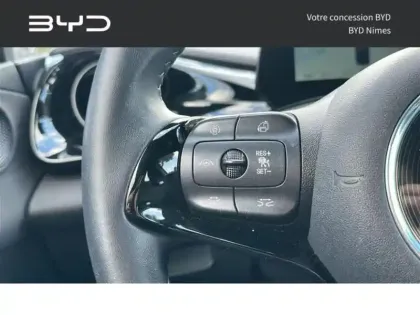 Photo 8 BYD Dolphin Gén. I Ph1 Comfort 5