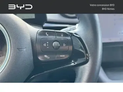 Photo 10 BYD Dolphin Gén. I Ph1 Comfort 5