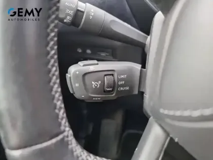 Photo 24 DS DS 3 DS3 Crossback E-Tense