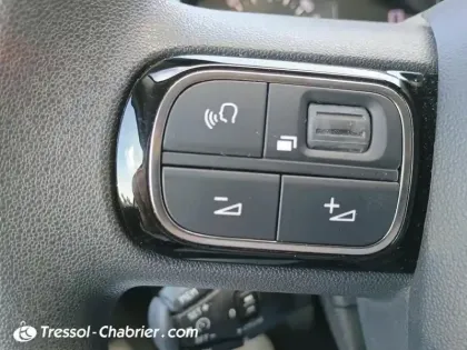 Photo 18 Citroën C3  PureTech 83 S&S BVM5 Feel Business