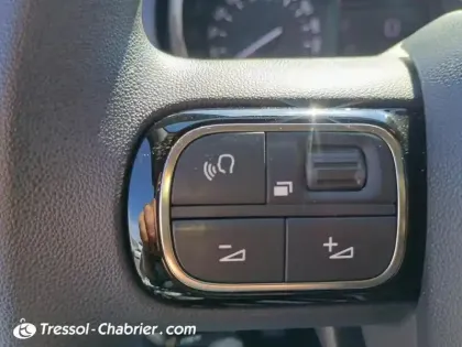 Photo 18 Citroën C3 Gén. III Ph2 Feel Business 5