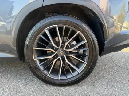 Photo 12 Lexus Nx Gén. II Ph1 Executive 5