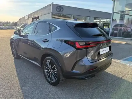 Photo 6 Lexus Nx Gén. II Ph1 Executive 5