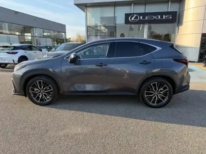 Photo 7 Lexus Nx Gén. II Ph1 Executive 5