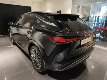 Photo 7 Lexus RX  450h+ Opéra de Paris 4WD