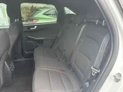 Photo 8 Ford Kuga Gén. III Ph1 ST-Line 5