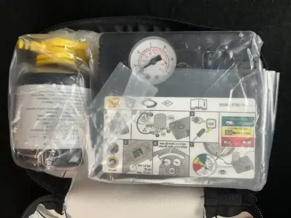 Photo 52 Dacia Sandero  ECO-G 100 - 22