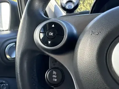 Photo 11 Smart Forfour Gén. III Ph1 Passion 5