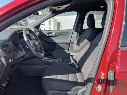 Photo 9 Ford Kuga 1.5 EcoBlue 120ch ST-Line Business Powershift