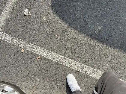 Photo 27 Ford Ecosport Gén. I Ph2 Titanium 5