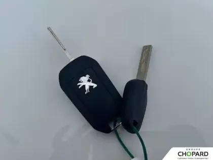 Photo 57 Peugeot 208 Gén. II Ph1 NG Style 5