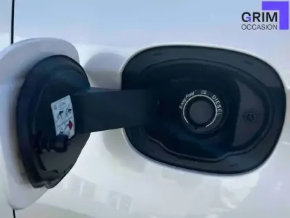 Photo 19 Ford Edge Gén. I Ph1 Sport 5