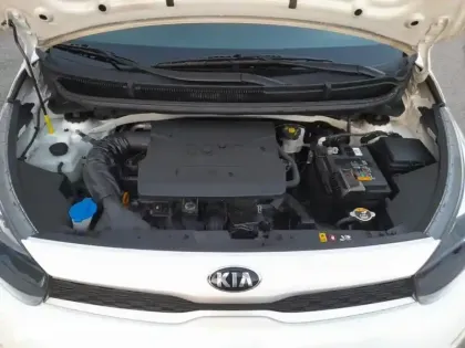 Photo 6 Kia Picanto  1.0 essence MPi 67 ch BVM5 Active