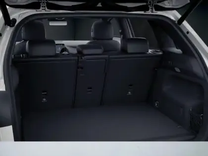 Photo 8 Mercedes Classe B 180 d AMG Line Edition