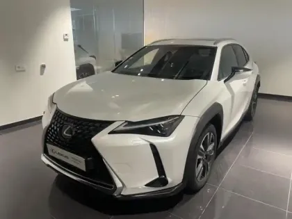 Photo 15 Lexus UX  250h 2WD Executive MY20