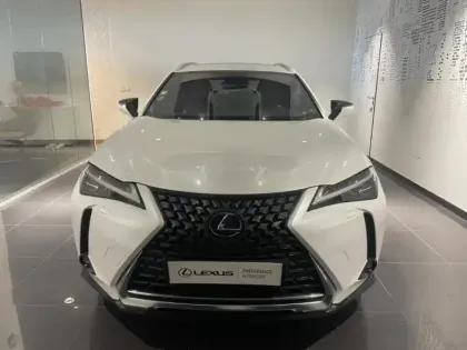 Photo 16 Lexus UX  250h 2WD Executive MY20