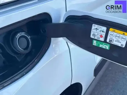 Photo 19 Ford Transit Connect  FGN L1 1.0E100 E85 S&S