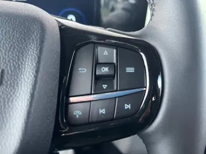 Photo 19 Ford Custom Gén. II Ph1 Limited 1