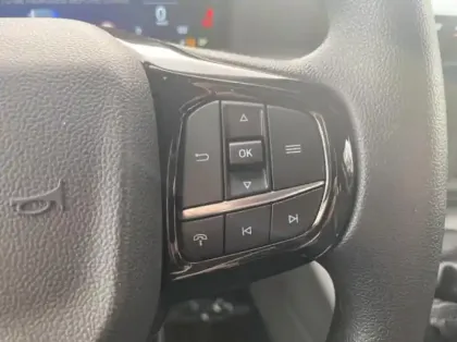 Photo 15 Ford Custom Gén. II Ph1 Trend 1