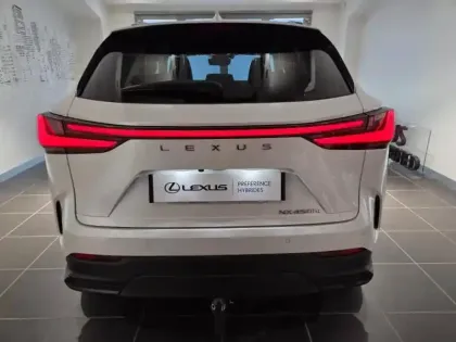 Photo 14 Lexus Nx Gén. II Ph1 Luxe 5