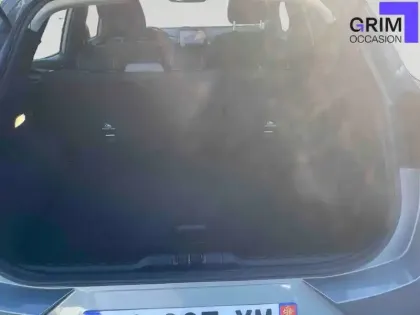 Photo 51 Ford Puma  1.0 EcoBoost 125 ch mHEV S&S Powershift