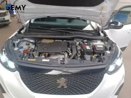 Photo 45 Peugeot 2008  BlueHDi 110 S&S BVM6