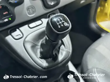 Photo 23 Fiat Panda Gén. III Ph1 NG City Cross 5