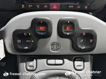 Photo 21 Fiat Panda Gén. III Ph1 NG City Cross 5
