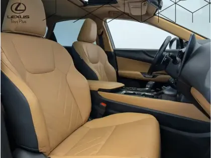 Photo 13 Lexus Nx Gén. II Ph1 Executive 5