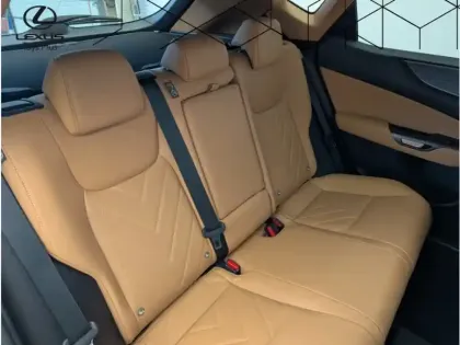 Photo 14 Lexus Nx Gén. II Ph1 Executive 5