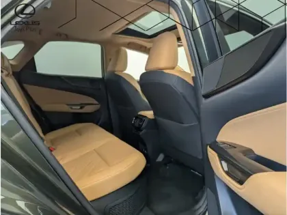 Photo 15 Lexus Nx Gén. II Ph1 Executive 5