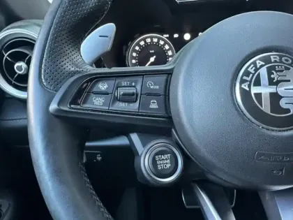 Photo 14 Alfa Romeo Tonale Gén. I Ph1 Edizione Speciale 5