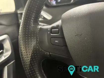 Photo 13 Peugeot 2008 Gén. I Ph2 Crossway 5