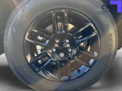 Photo 13 Rover Defender  90 D200 HARD TOP