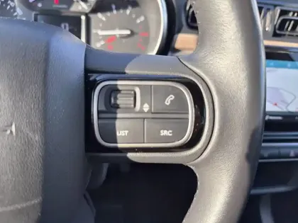 Photo 19 Citroën C3 Gén. III Ph2 Shine 5