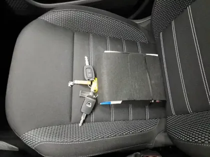 Photo 39 Dacia Duster  ECO-G 100 4x2