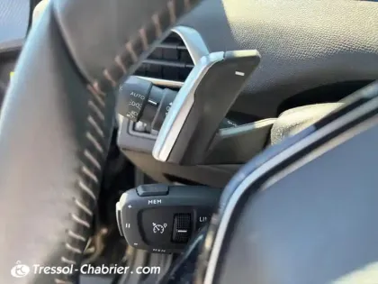 Photo 26 Peugeot 3008  BlueHDi 130ch S&S EAT8 Active Pack