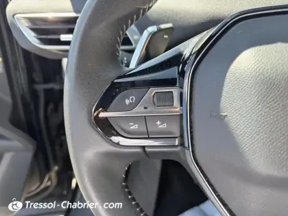 Photo 15 Peugeot 3008  BlueHDi 130ch S&S EAT8 Active Pack