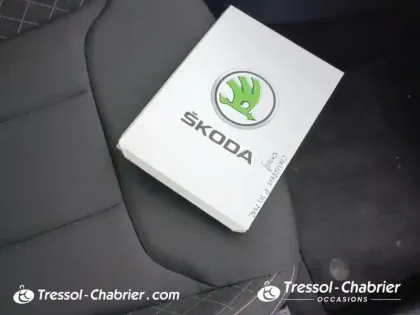 Photo 15 Skoda Kamiq  1.0 TSI Evo 110 ch DSG7 Ambition