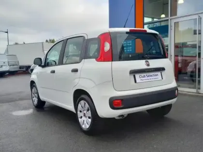 Photo 8 Fiat Panda Gén. III Ph1 NG Base 5