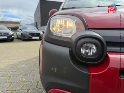 Photo 12 Fiat Panda Gén. III Ph2 MY23 (RED) 5