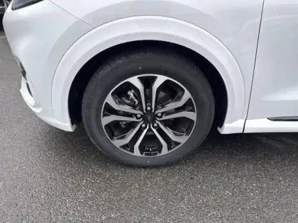 Photo 8 Ford Puma Gén. II Ph1 ST-Line X 5