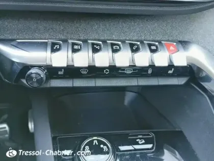 Photo 21 Peugeot 3008 Gén. II Ph1 Crossway 5