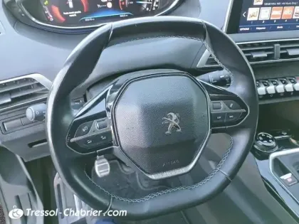 Photo 11 Peugeot 3008 Gén. II Ph1 Crossway 5