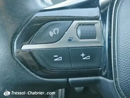 Photo 18 Peugeot 3008 Gén. II Ph1 Crossway 5