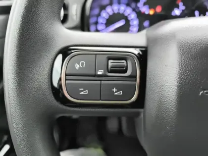 Photo 18 Citroën C3 Gén. III Ph2 Shine 5